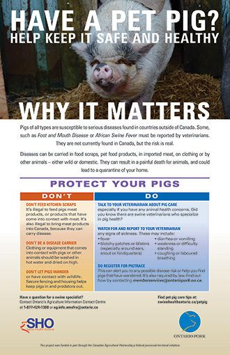 Pet Pig Owner in Ontario Poster